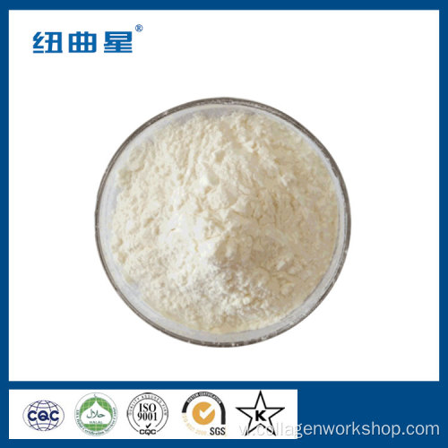 Bột quinoa oligopeptide chất lượng cao